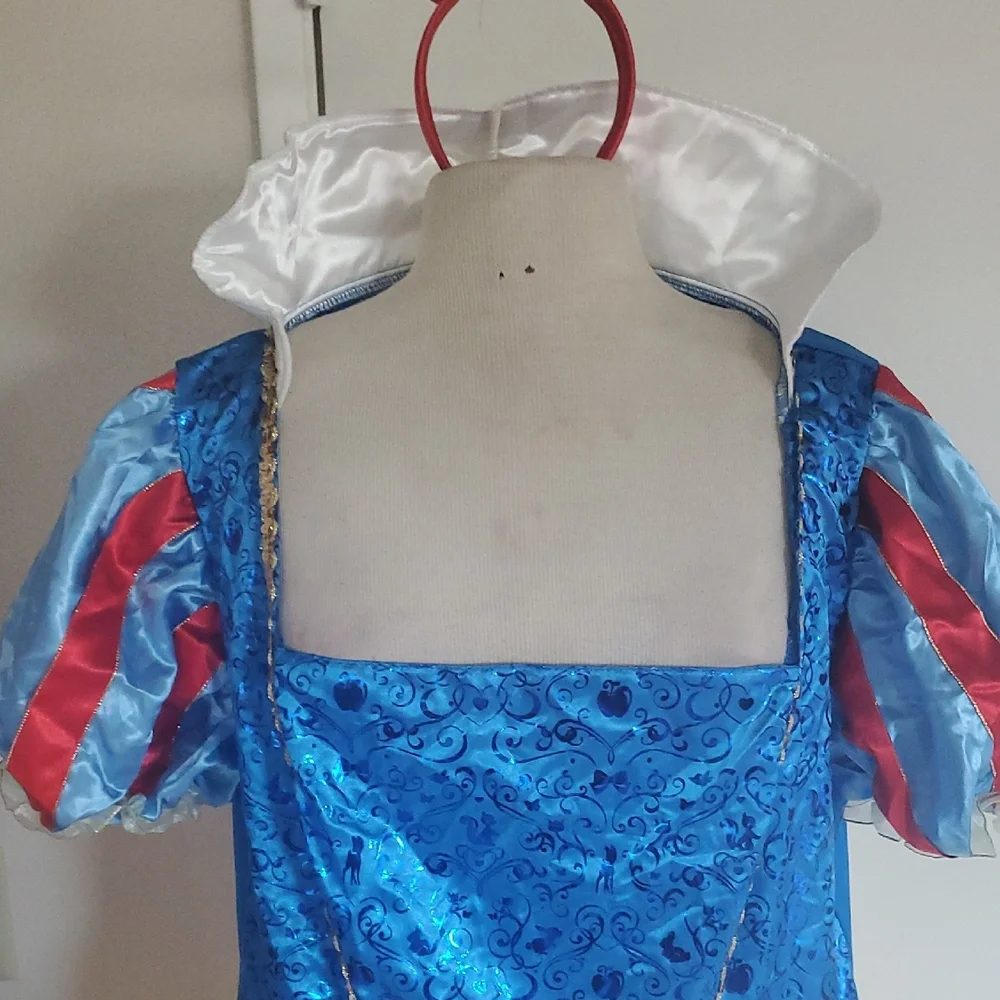 Disney Princess Costume with Blue and Yellow Dress - Picture 4 of 11